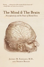 The Mind and the Brain