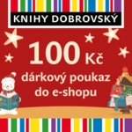 Vánoční e-shopová dárková poukázka 100 Kč