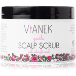 Vianek Gentle jemný peeling na vlasy a vlasovú pokožku 155 g