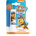 Nickelodeon Paw Patrol Lip Balm balzám na rty s jahodovou příchutí 4 g