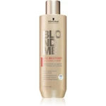 Schwarzkopf Professional Blondme All Blondes Rich vyživující kondicionér pro hrubé vlasy 250 ml