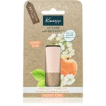 Kneipp Apricot & Marula balzam na pery 4,7 g