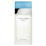 Dolce & Gabbana Light Blue toaletní voda pro ženy 100 ml