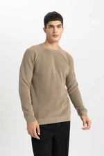 DEFACTO Men's Beige Standard Fit Regular Cut Crew Neck Warm Sweater