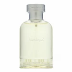 Burberry Weekend for Men toaletná voda pre mužov 100 ml