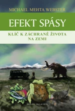 Efekt spásy - Michael Mehta Webster