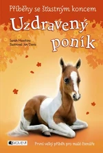 Příběhy se šťastným koncem – Uzdravený poník - Sarah Hawkins - e-kniha