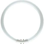 Zářivková trubice 230 mm OSRAM 230 V 2GX13 22 W N/A en.třída: A (A++ - E) kruhová zářivka 1 ks