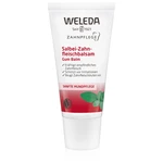 Weleda Dental Care šalvějový balzám na dásně 30 ml