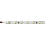 LED pásek Barthelme 51513413 51513413, 24 V, 12 W/m, N/A, 5 m