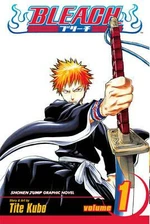 Bleach 1 (anglicky) - Tite Kubo