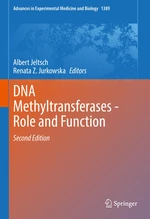 DNA Methyltransferases - Role and Function