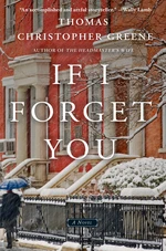 If I Forget You