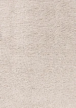 Kusový koberec Dream Shaggy 4000 cream-60x110