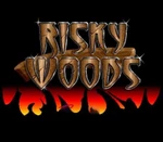 Risky Woods Steam CD Key