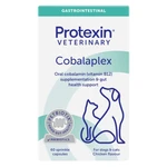 PROTEXIN Cobalaplex pre psy a mačky 60 kapsúl