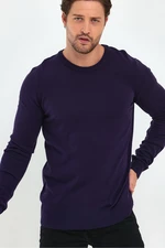 Lafaba Men's Plum Crew Neck Basic Knitwear Sweater