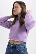 DEFACTO Crew Neck Hooded Basic Crop Sweatshirt