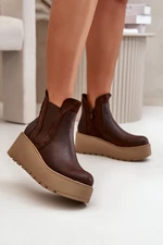 Women's Insulated Ankle Boots On Platform And Wedge Brown Mivanira