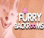 FURRY BACKROOMS PC Steam CD Key