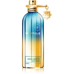 Montale Aoud Lagoon parfémovaná voda unisex 100 ml