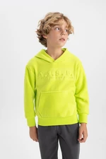 DEFACTO Boy's Hooded Fleece Sweatshirt