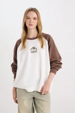 DEFACTO Cool Loose Fit Crew Neck Color Block Printed Sweatshirt