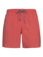 Men's beach shorts Protest DAVEY