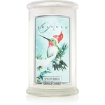 Kringle Candle Snowbird vonná sviečka 624 g