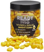 Starbaits kukurica bright ready seeds 250 ml - pro ginger squid