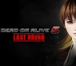 DEAD OR ALIVE 5 Last Round (Full Game) Steam CD Key