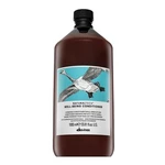 Davines Natural Tech Well-Being Conditioner odżywka dla połysku i miękkości włosów 1000 ml