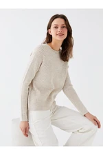 LC Waikiki Crew Neck Plain Long Sleeve Women's Knitwear Sweater