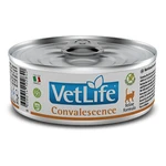 VET LIFE Natural Convalescencia konzerva pre mačky 85 g