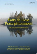 Praxe přítomnosti - Patty de Llosa