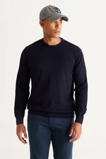 ALTINYILDIZ CLASSICS Men's Navy Blue Standard Fit Normal Cut Crew Neck Knitwear Sweater