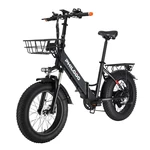 [EU Direct] PHILODO H4 250W 48V 13Ah 20*4inch Fat Tire Electric Bicycle 40-60KM Mileage 150KG Payload Electric Bike