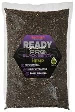 Starbaits konopí ready seeds pro blackberry 1 kg