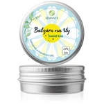 Naturalis Semante Sweet Kiss balzám na rty v BIO kvalitě 30 ml