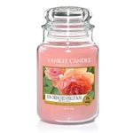 Yankee Candle Aromatická svíčka velká Sun-Drenched Apricot Rose 623 g