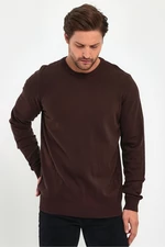 Lafaba Men's Brown Crew Neck Basic Knitwear Sweater