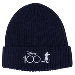 HAT TRICOT DISNEY 100