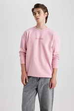 DEFACTO Boxy Fit Long Sleeve Sweatshirt