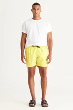 AC&Co / Altınyıldız Classics Men's Yellow Standard Fit Quick Dry Swimwear Marine Shorts.