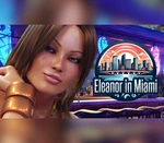 Eleanor in Miami PC Steam CD Key