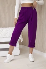 Punto Milano Winter trousers dark purple