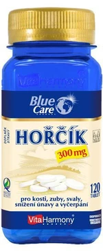 VITAHARMONY Hořčík 300 mg 120 tablet