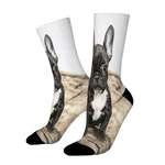 French Bulldog Puppy Straight Socks Male Mens Women Autumn Stockings Polyester Hip Hop