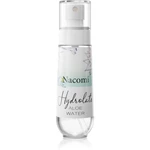 Nacomi Hydrolate hydratační sprej s aloe vera 80 ml