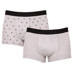 2PACK men's briefs Molvy gray